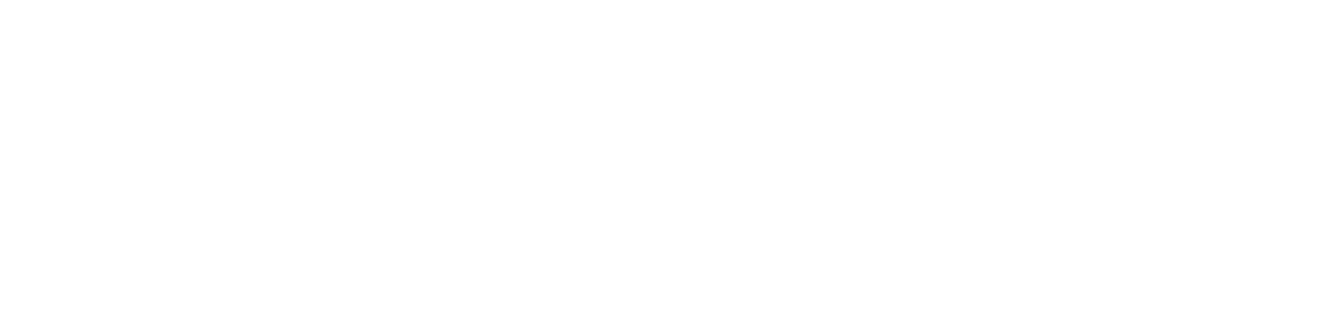 Blackfit Bodrum footer logo